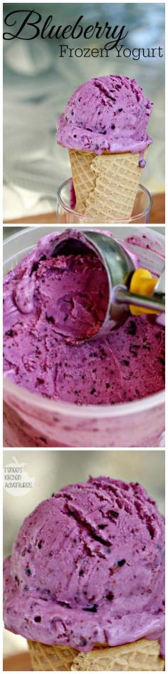 
                    
                        Blueberry Frozen Yogurt - Frozen blueberries and wholesome yogurt make the most delicious frozen treat!
                    
                