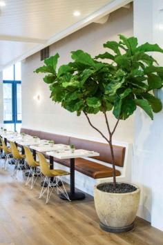 
                    
                        Cafe Gratitude in downtown LA designed by Wendy Haworth | Remodelista
                    
                