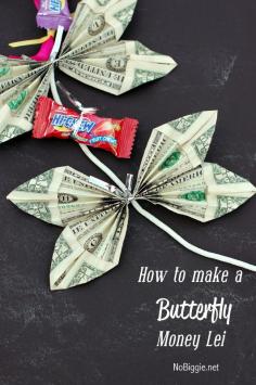 
                    
                        How to make a Butterfly money lei | NoBiggie.net
                    
                