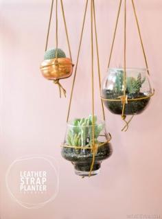 
                    
                        Leather Strap Hanging Planter Tutorial (I'll take 97 please!)
                    
                
