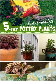 
                    
                        Kid Friendly Potted Plants with Step-by-Step Instructions
                    
                