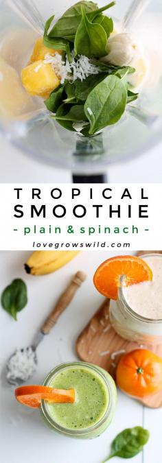 
                    
                        Start your day with a delicious Tropical Smoothie made with orange, banana, pineapple, and coconut! This recipe can be made two ways: plain or green (with spinach)! Click to see more at LoveGrowsWild.com
                    
                