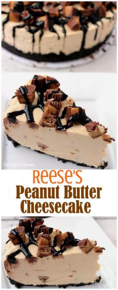 
                    
                        Reese's Peanut Butter No Bake Cheesecake - Full of chocolate, creamy Reese's and more! Kid friendly recipe.
                    
                