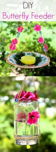 
                    
                        How To Make A Homemade Butterfly Feeder DIY
                    
                