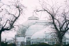 
                    
                        The Anna Scripps Whitcomb Conservatory in Detroit / photo by Emily Berger
                    
                