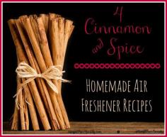
                    
                        4 Cinnamon and Spice Homemade Air Freshener Recipes
                    
                
