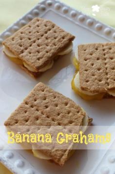 Banana Grahams freezer cookies