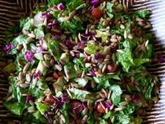 
                    
                        Mexican Chopped Salad Recipe
                    
                