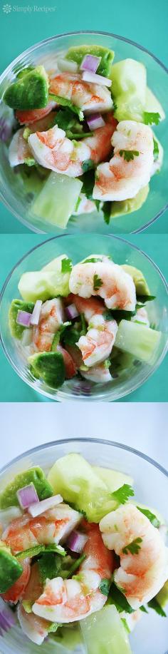 
                    
                        Shrimp Ceviche ~ Cool and tasty shrimp ceviche recipe, shrimp served with chopped red onion, chile, cilantro, cucumber, avocado with lemon and lime juices. ~ SimplyRecipes.com
                    
                