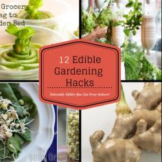 12 Edible Gardening Hacks  - Delectable Edibles You Can Grow Indoors. Creative Gardeners share how they grow food indoors in unique ways!