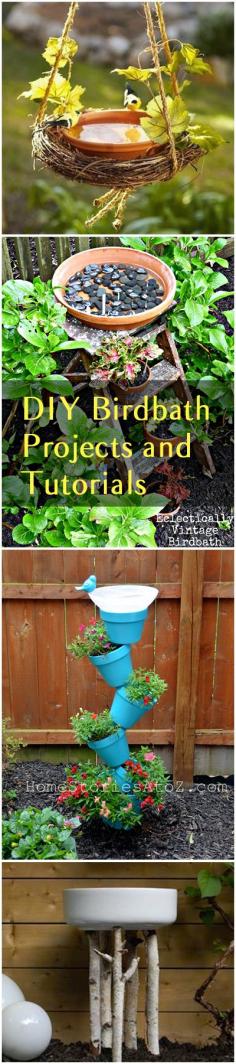 
                    
                        DIY Birdbath Projects and Tutorials
                    
                