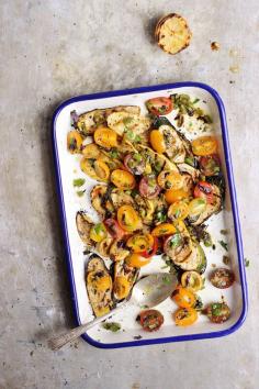 
                    
                        Balsamic Grilled Summer Squash with Lemony Garlic Scape Tomato Salad
                    
                