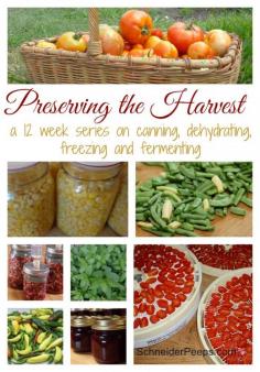 
                    
                        Preserving the Harvest - a twelve week series on canning, dehydrating, freezing and fermenting.
                    
                