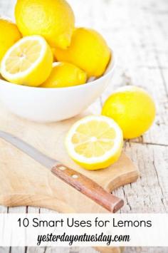 Life Hacks using Lemons: Great kitchen tips!