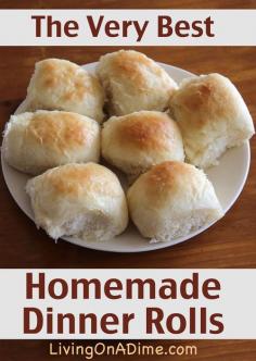 
                    
                        The Very Best Homemade Dinner Rolls Recipe
                    
                