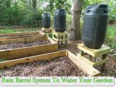 
                    
                        Rain Barrel System To Water Your Garden
                    
                