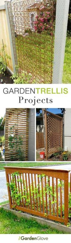 DIY Garden Trellis Projects • Lots of Ideas  Tutorials! {LOVE the old bed springs.... frugal, and interesting to look at :)}