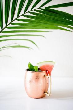 
                    
                        Watermelon Moscow Mule
                    
                