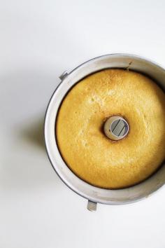 
                    
                        golden milk cake
                    
                