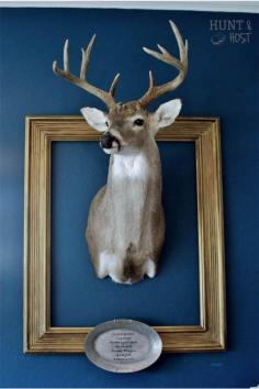 
                    
                        French country décor. incorporating your man's trophy into your home. #shabbychic #antlers #sharpielove www.huntandhost.com
                    
                