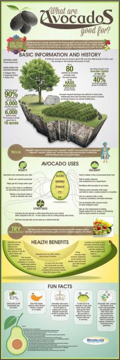 Avocados are one of Dr. Mercola’s most recommended foods, and for good reason: they’re loaded with healthy fat, vitamins, minerals, and other essential nutrients, low in fructose, and rank the lowest among fruits and vegetables in terms of pesticide use. This delicious tropical fruit is very versatile, with plenty of culinary and beauty uses. Check out this infographic to discover interesting facts and fun trivia about avocado. You will surely learn to appreciate this fruit more! Feel free to s…