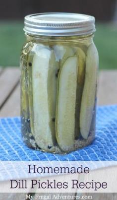 Homemade pickles. Dill.