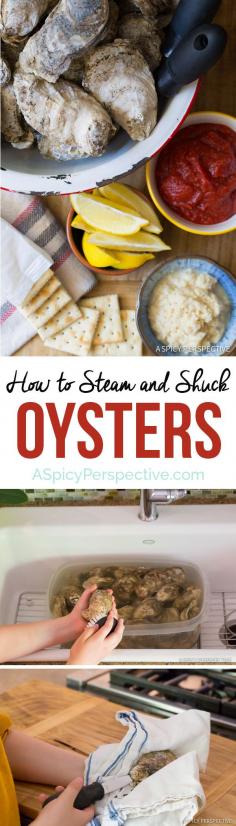 
                    
                        How to Shuck Oysters (And Steam Oysters, and throw an Oyster Shucking Party, and...) #oysters #howto
                    
                