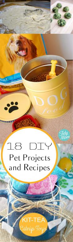 
                    
                        18 DIY Pet Projects and Recipes
                    
                