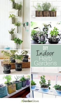 DIY Indoor Herb Gardens  Great Ideas  Tutorials! These are so cute.
