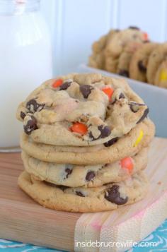 Soft and chewy peanut butter pudding cookies with chocolate chips and Reese's. But banana chips? Gross!