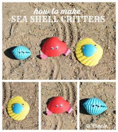 
                    
                        How to Make Sea Shell Critters - beach craft for the kids!
                    
                