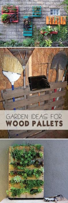 
                    
                        DIY Garden Ideas for Wood Pallets!
                    
                