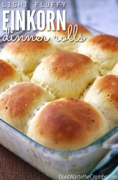 
                    
                        Looking for the perfect light and fluffy dinner roll for Thanksgiving?  Check these out.  They taste like typical Hawaiian rolls, only better, and they're made with REAL food.  No unhealthy ingredients here! :: DontWastetheCrumb...
                    
                