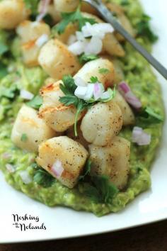 Grilled Scallops with Avocado Puree