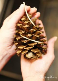 
                    
                        How to make easy pinecone fire starters- perfect for camping! #camping skiptomylou.org
                    
                