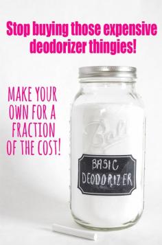 DIY Deodorizer.