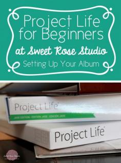 PL For Beginners (by Sweet Rose Studio)