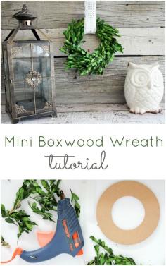 
                    
                        Mini Boxwood Wreath Tutorial! Oh my gosh I love this! Totally going to make these for all my kitchen cabinets!
                    
                
