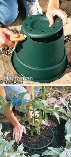 
                    
                        #14. Stop invasive plants from taking over your garden! | 20 Insanely Clever Gardening Tips And Ideas
                    
                
