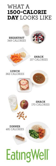 Most people will lose weight on a daily diet of 1,500 calories, which is the total calorie count for all the food pictured here. healthy eating