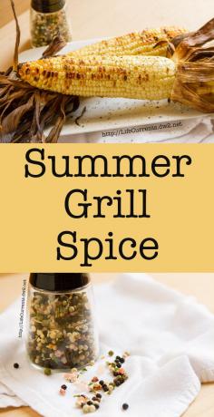 
                    
                        Summer Grill Spice for all your summer BBQ's. Put it on corn on the cob, burgers, steak, fish, the options are endless by Life Currents
                    
                