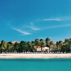 
                    
                        A long weekend in Curacao
                    
                