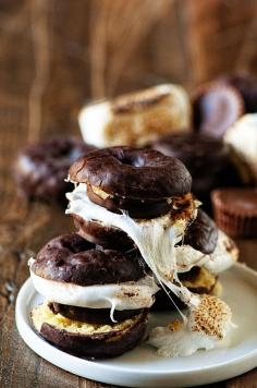 
                    
                        chocolate donette s'mores
                    
                