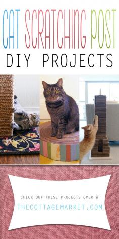 
                    
                        Cat Scratching Post DIY Projects - The Cottage Market
                    
                