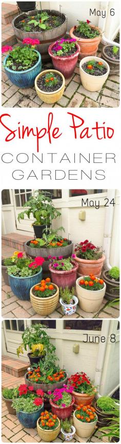 
                    
                        Simple Patio Container Gardens | Home & Plate | www.homeandplate.com | In a month's time, your container garden can go from now to WOW!
                    
                