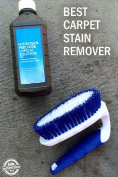 DIY carpet stain remover EASIEST CARPET CLEANER WE HAVE FOUND