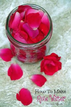 
                    
                        Easy DIY Rose Water.  Making your own rose water takes very little time and it has tons of uses.  Come learn how to make it and what to do with it!
                    
                