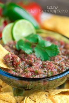 
                    
                        The tastiest salsa right from your garden! I love making this Easy Garden Blender Salsa all summer long! This easy recipe will have you coming back again and again!
                    
                