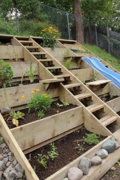 Raised beds on a hill with a surprise! - This would be wonderful on the side of the house as it goes down hill...No mowing! Just delightful eats.