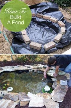 How to Build a Pond; Easily, Cheaply and Beautifully-- I will have a koi pond one day.